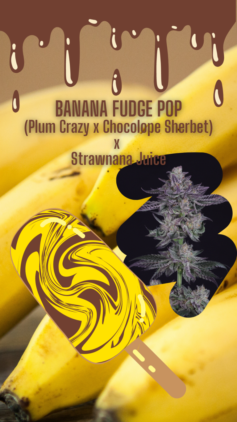 Banana Fudge Pop CROCKETT FAMILY FARMS