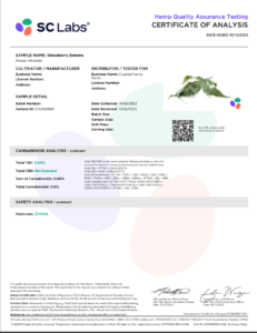 Strawberry Banana Clone - Image 2
