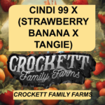 CINDI 99 X (STRAWBERRY BANANA X TANGIE)