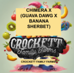 CHIMERA X (GUAVA DAWG X BANANA SHERBET)