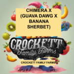 CHIMERA X (GUAVA DAWG X BANANA SHERBET)