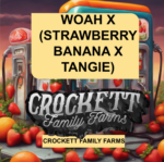 WOAH X (STRAWBERRY BANANA X TANGIE)