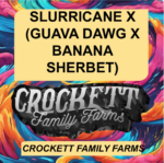 SLURRICANE X (GUAVA DAWG X BANANA SHERBET)
