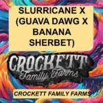 SLURRICANE X (GUAVA DAWG X BANANA SHERBET)
