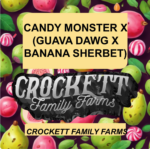 CANDY MONSTER X (GUAVA DAWG X BANANA SHERBET)