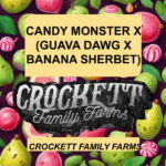 CANDY MONSTER X (GUAVA DAWG X BANANA SHERBET)