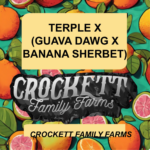 TERPLE X (GUAVA DAWG X BANANA SHERBET)