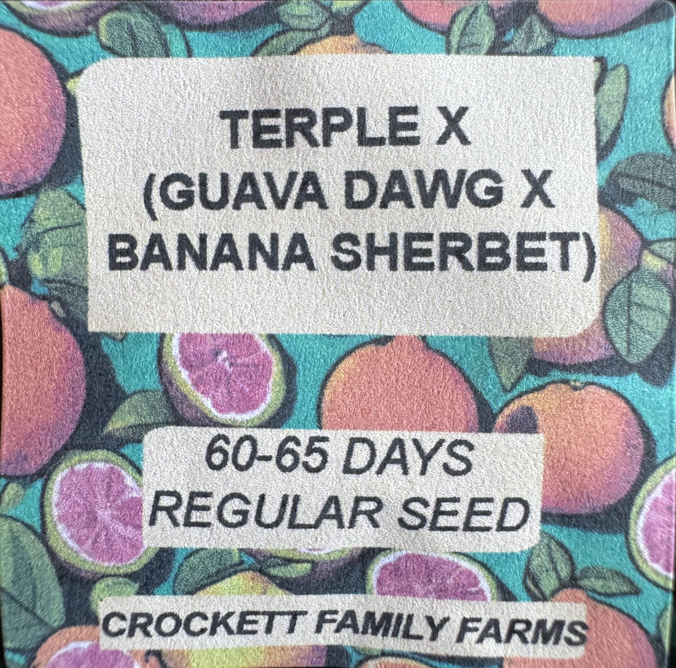 TERPLE X (GUAVA DAWG X BANANA SHERBET) - CROCKETT FAMILY FARMS