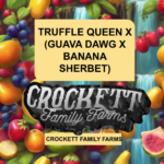 TRUFFLE QUEEN X (GUAVA DAWG X BANANA SHERBET)