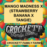 MANGO MADNESS X (STRAWBERRY BANANA X TANGIE)