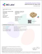 ORANGE BANANA SHERBET - Image 2