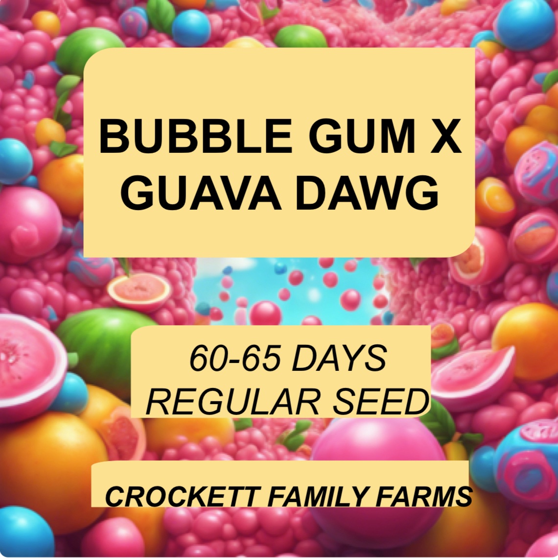 BUBBLEGUM X GUAVA DAWG - CROCKETT FAMILY FARMS