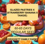 GLAZED PASTRIES X (STRAWBERRY BANANA X TANGIE)