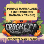 PURPLE MARMALADE X (STRAWBERRY BANANA X TANGIE)