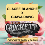 GLACEE BLANCHE X GUAVA DAWG