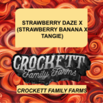 STRAWBERRY DAZE X (STRAWBERRY BANANA X TANGIE)