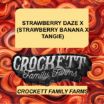 STRAWBERRY DAZE X (STRAWBERRY BANANA X TANGIE)
