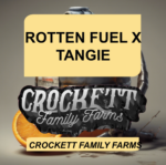 ROTTEN FUEL X TANGIE