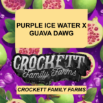 PURPLE ICE WATER X GUAVA DAWG
