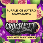PURPLE ICE WATER X GUAVA DAWG