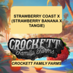 STRAWBERRY COAST X (STRAWBERRY BANANA X TANGIE)