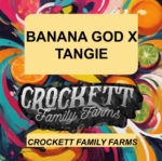 BANANA GOD X TANGIE