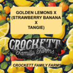 GOLDEN LEMONS X (STRAWBERRY BANANA X TANGIE)
