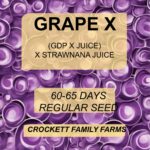 GRAPE X