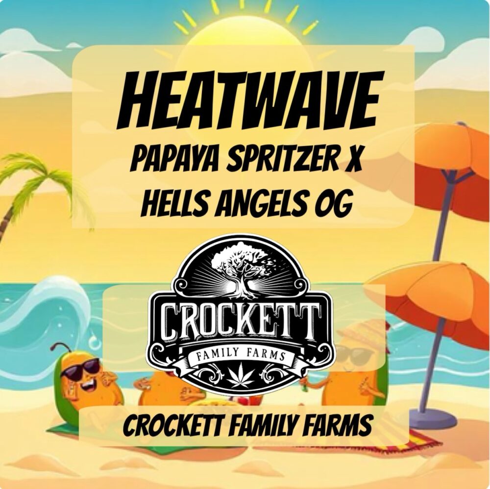 HEAT WAVE