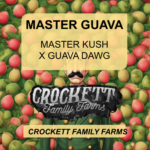 MASTER GUAVA
