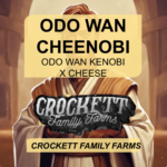 ODO WAN CHEENOBI
