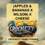 APPLES & BANANAS WILSON X CHEESE