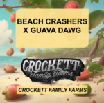 BEACH CRASHERS X GUAVA DAWG