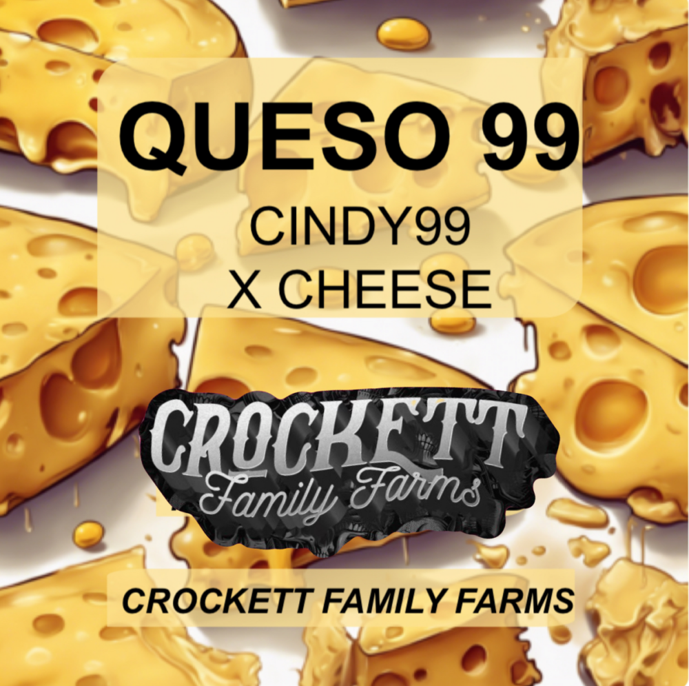 QUESO 99