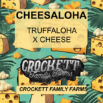 CHEESALOHA