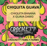 CHIQUITA GUAVA
