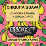 CHIQUITA GUAVA