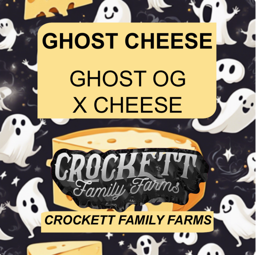 GHOST CHEESE