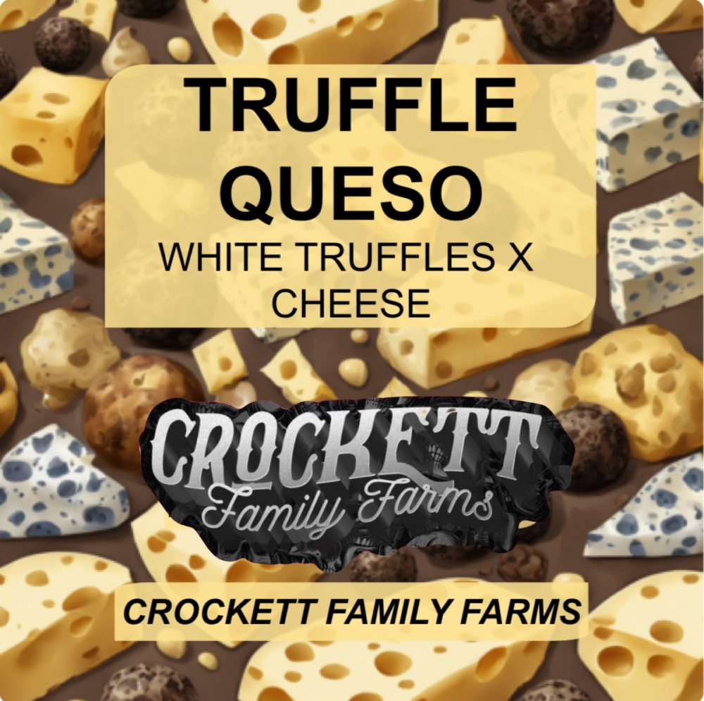 TRUFFLE QUESO