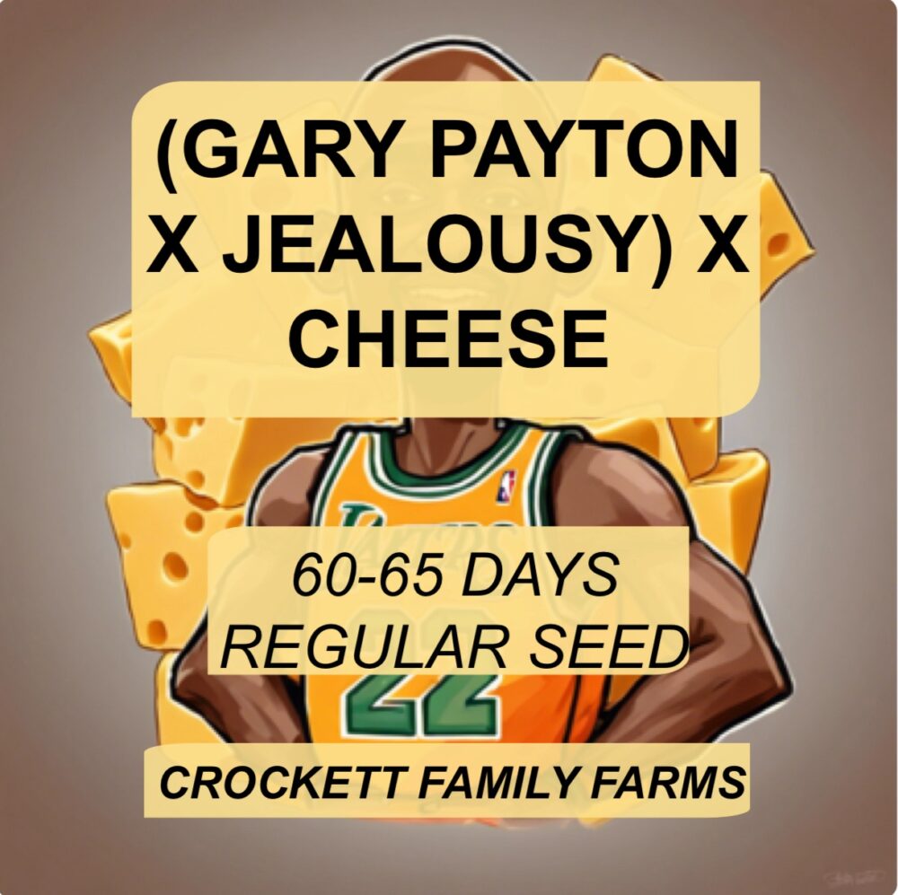 GARY PAYTON X JEALOUSY X CHEESE