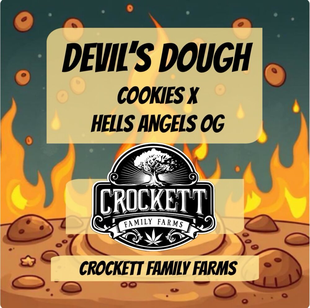 DEVIL’S DOUGH