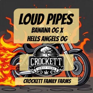 LOUD PIPES