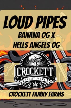 LOUD PIPES