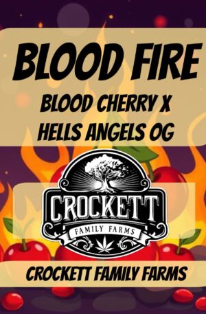 BLOOD FIRE