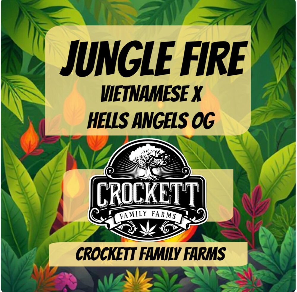 JUNGLE FIRE