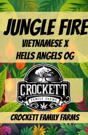 JUNGLE FIRE