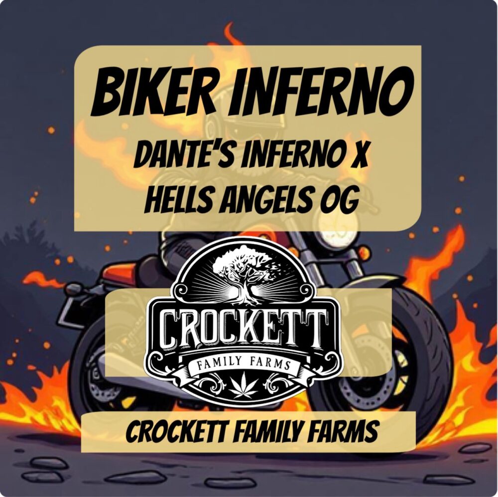 BIKER INFERNO