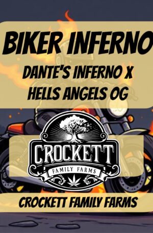 BIKER INFERNO