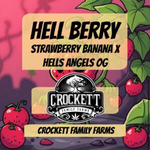 HELL BERRY