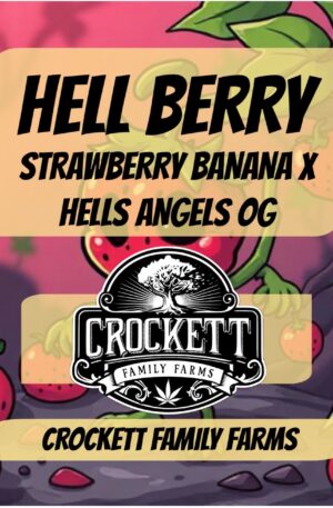 HELL BERRY